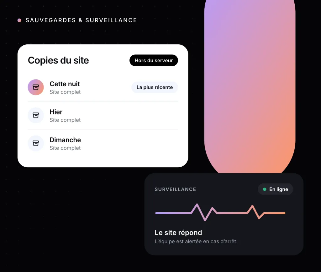 Illustration : les copies de sauvegarde du site et l’état de la surveillance
