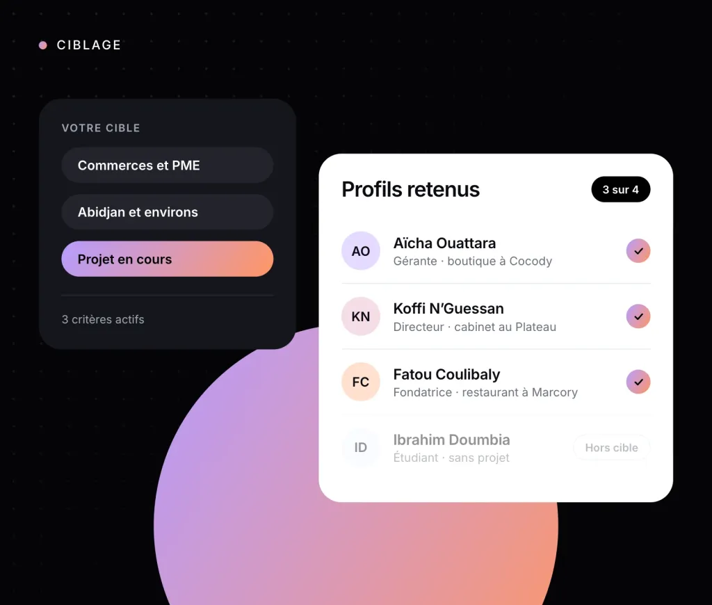 Illustration : un ciblage d’audience et la liste des profils retenus